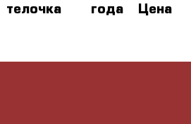 телочка 1 .3 года › Цена ­ 15 000 - Крым Животные и растения » Другие животные   . Крым